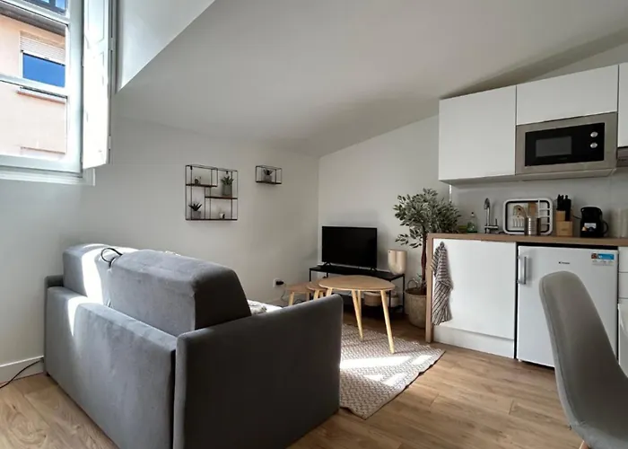 Appartement L'embarcadère Toulousain - T1 - Gare - Centre Toulouse