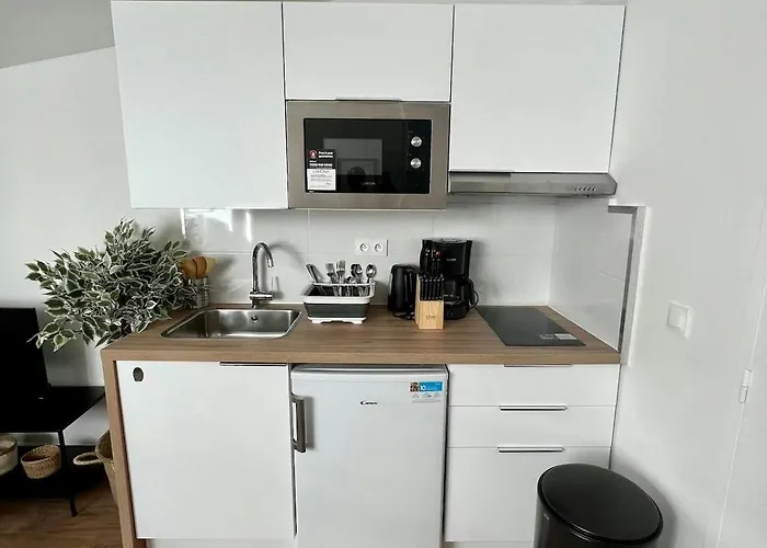 L'embarcadere Toulousain - T1 - Gare - Centre